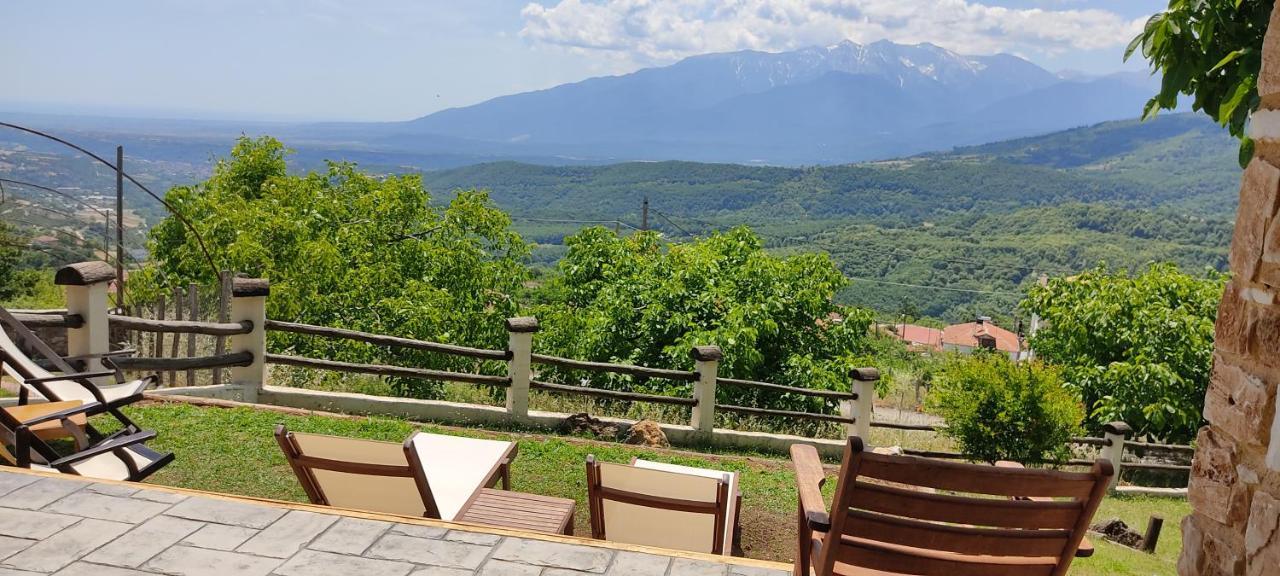 Dimitra'S Villas Elatochori Buitenkant foto
