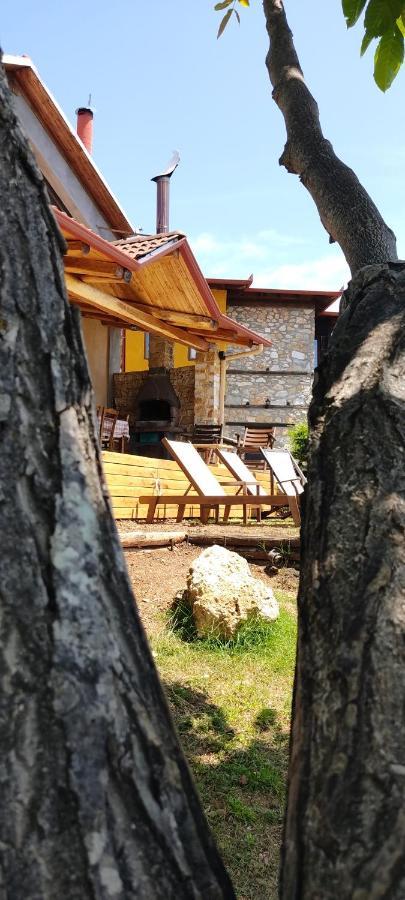 Dimitra'S Villas Elatochori Buitenkant foto