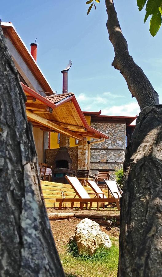 Dimitra'S Villas Elatochori Buitenkant foto