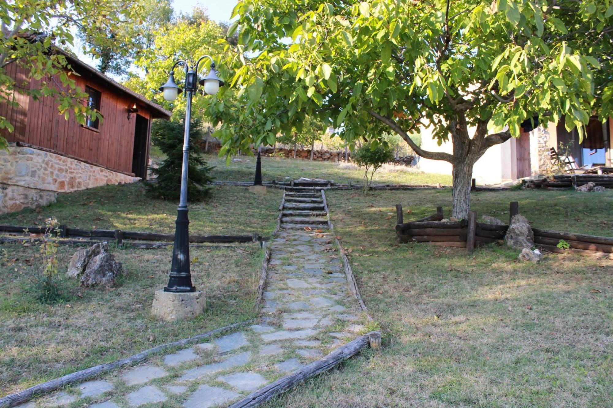 Dimitra'S Villas Elatochori Buitenkant foto