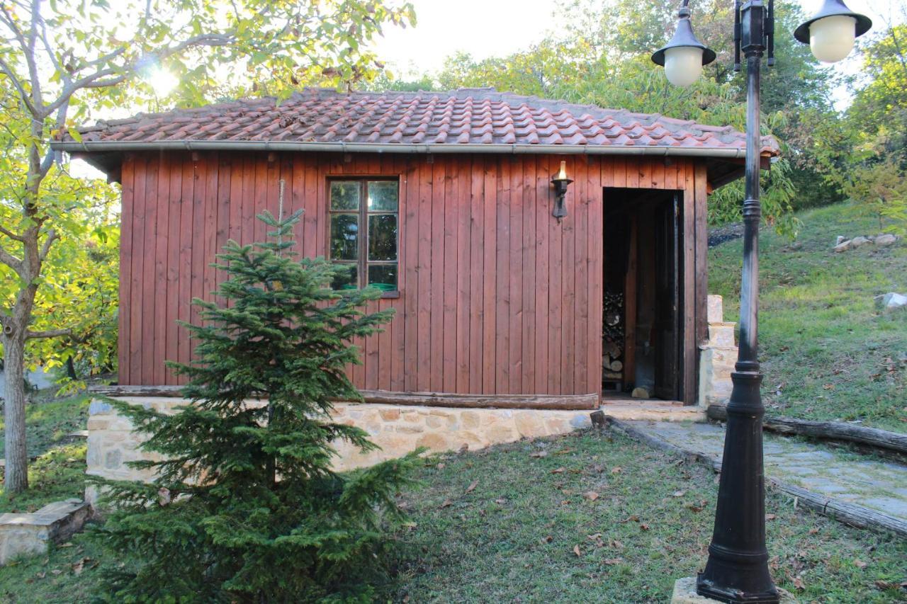 Dimitra'S Villas Elatochori Buitenkant foto